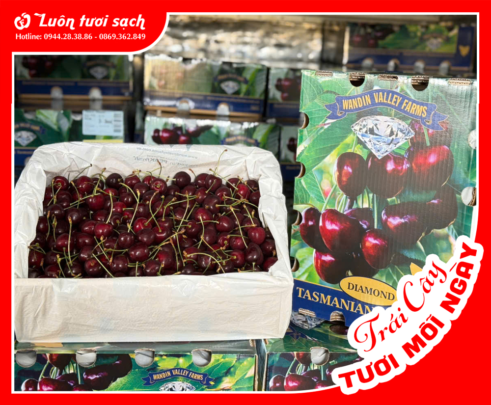 Hộp Cherry Tasmania size 32-34 2kg